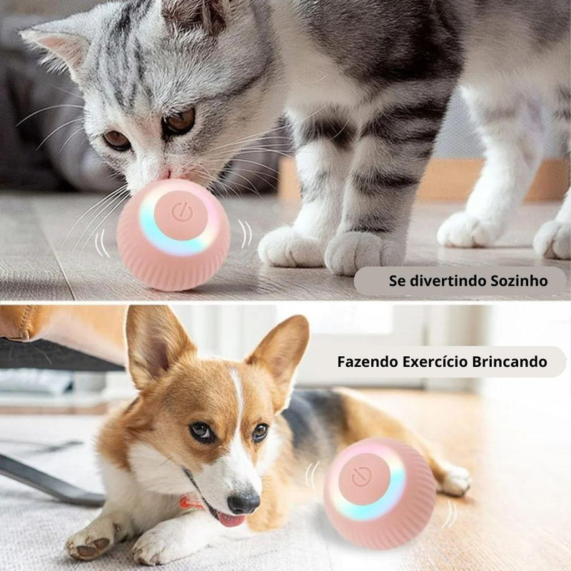 Bolinha Eletrônica Antistress para Pets